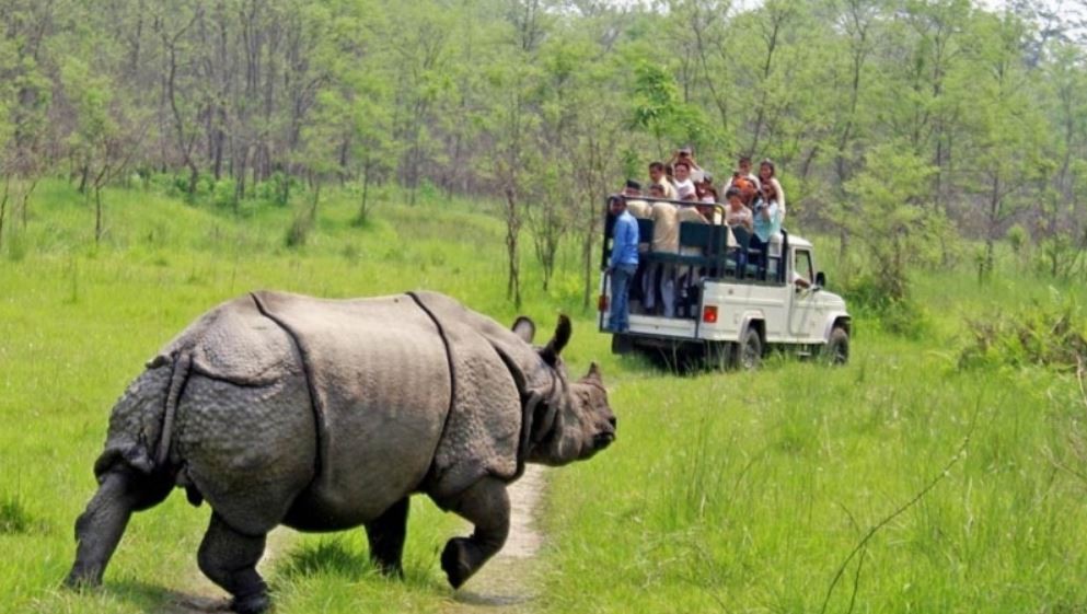 चितवन राष्ट्रिय निकुञ्ज घुम्नेमा स्वदेशी भन्दा विदेशी बढी