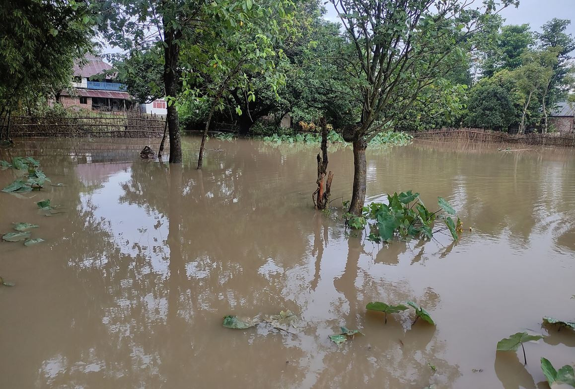 बाढीबाट मधेसमा ८० करोडभन्दा बढीको क्षति, मर्मत सम्भारका लागि ८ करोड निकासा