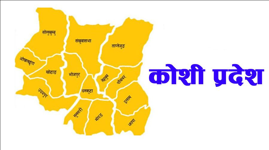 कोशी प्रदेशमा प्रधानमन्त्री रोजगार कार्यक्रमबाट करिब १४ हजारले पाए रोजगारी, कुन जिल्लाबाट कति ? (सूचीसहित)