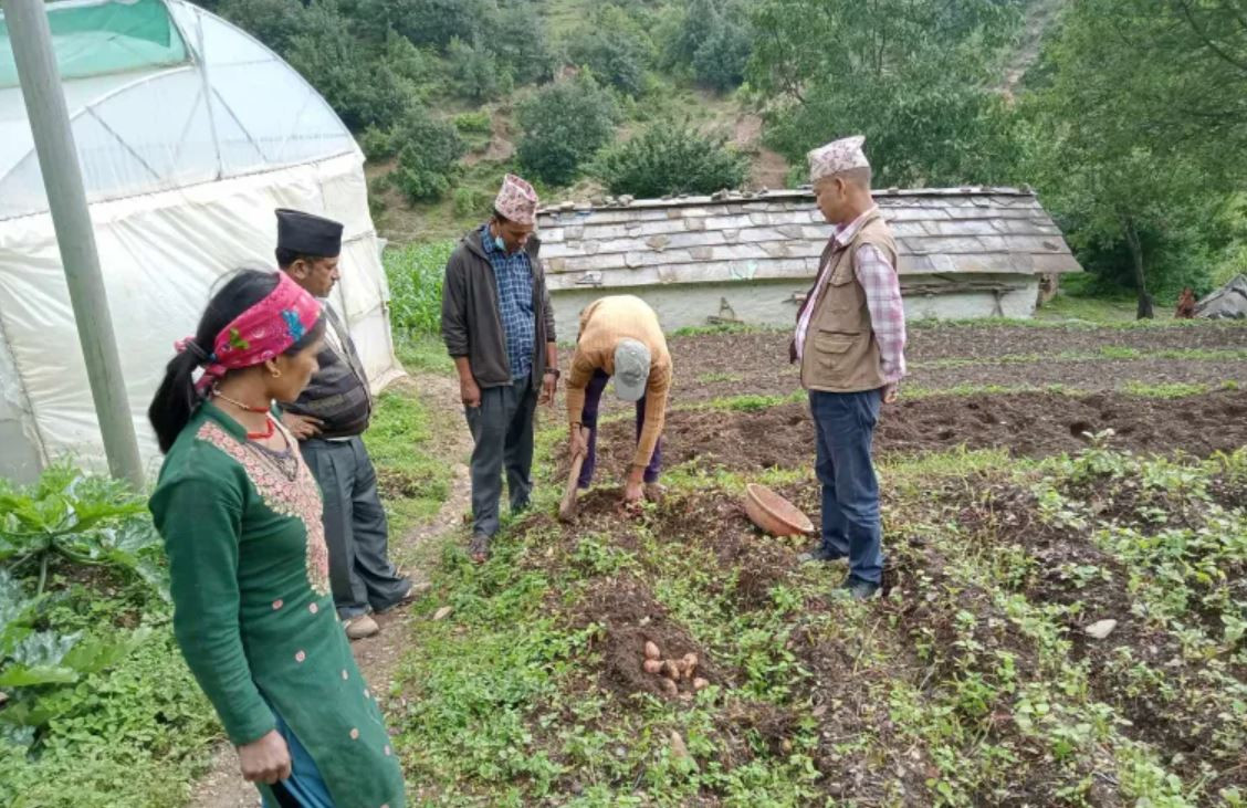 ‘कृषिमा लगानी दशक’ घोषणा, सबै स्थानीय तहमा पाइने बाली दर्ता गरिने