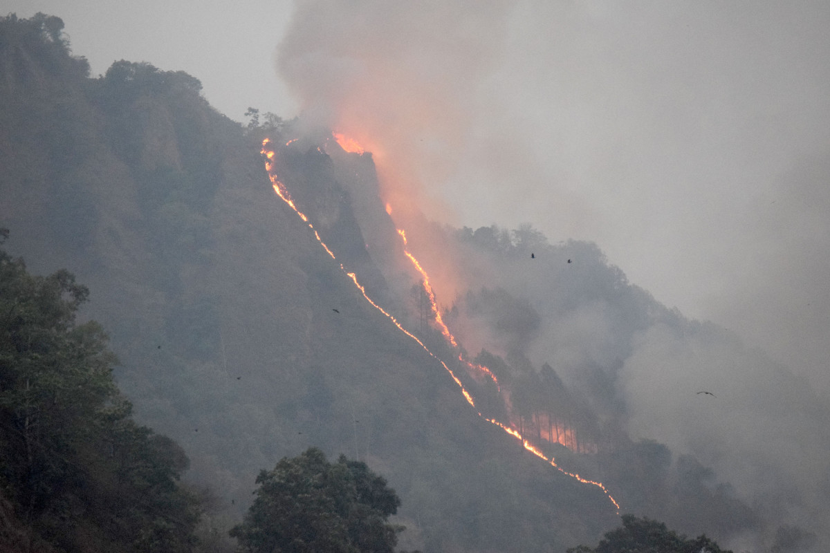 ललितपुरमा डढेलो निभाउँदा एक जनाको ज्यान गयो, दुइ गम्भिर घाइते