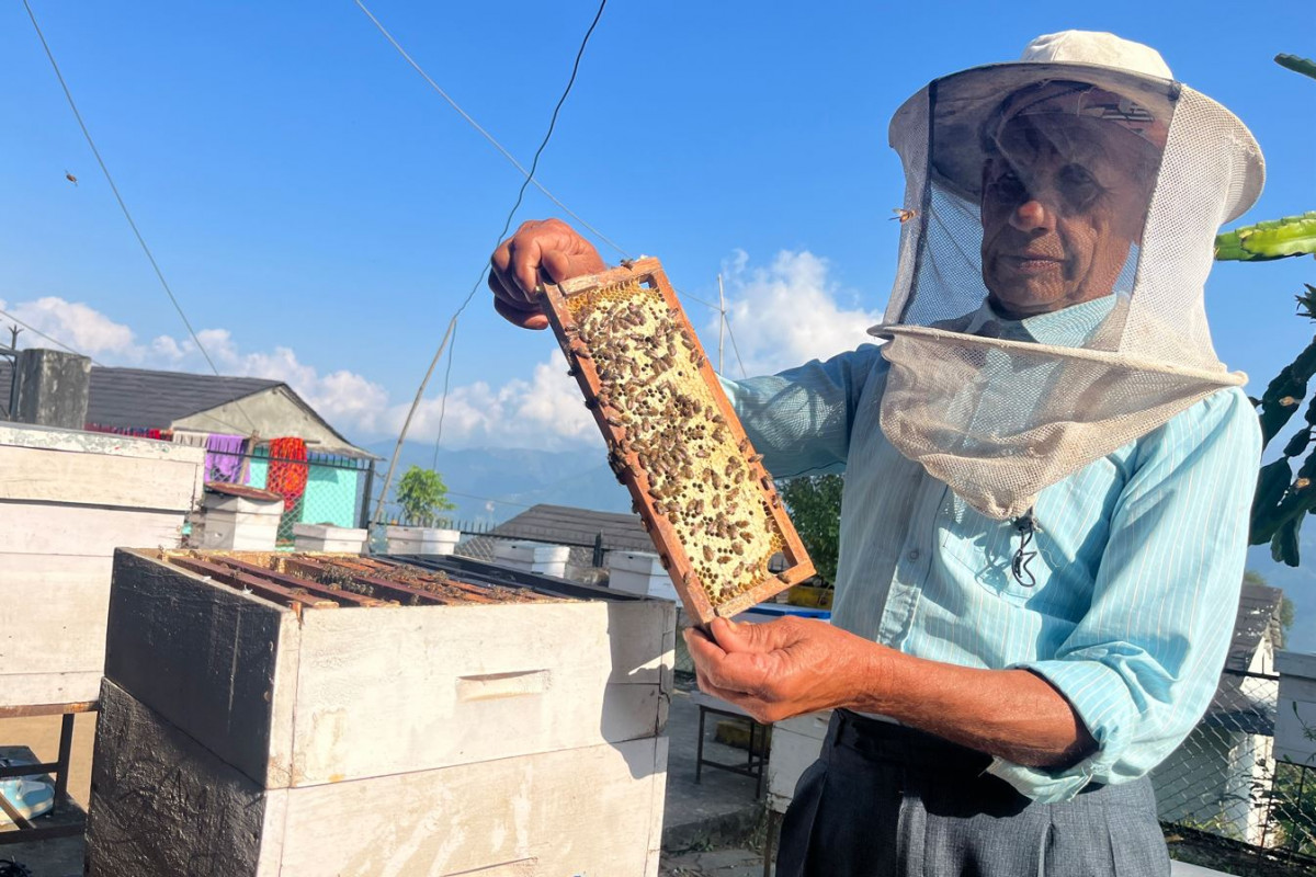 मह बेचेर वार्षिक १२ लाख बढी आम्दानी गर्छन् बागलुङका ७४ वर्षीय उपाध्याय